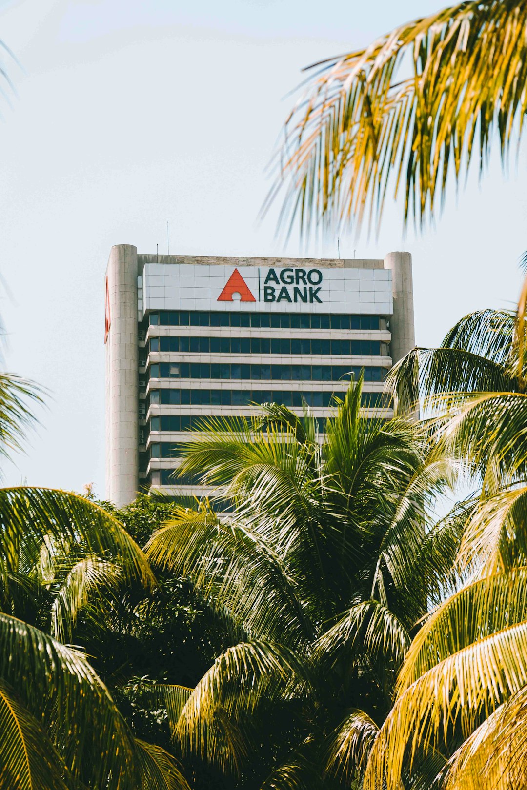 a-large-bank-sign-in-front-of-palm-trees-4oanniw9t8k